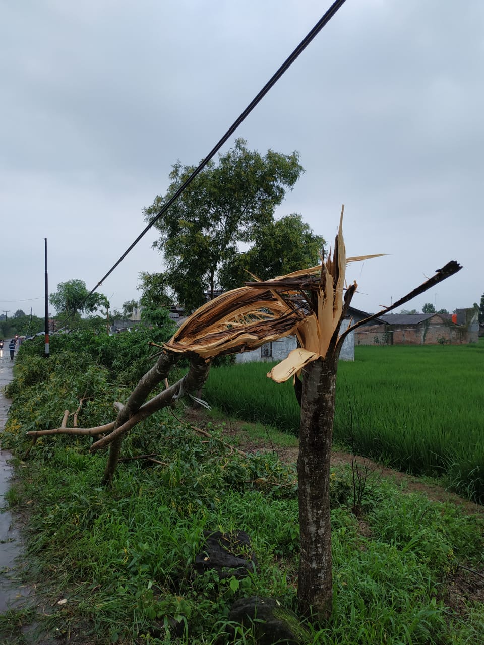 Lagi Angin Puting Beliung Hantam Puluhan Rumah Kabar Daerah Jawa Barat