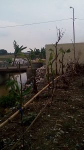 Pemdes Sudimampir Bangun TPS, Di Atas Tanggul Sekunder.