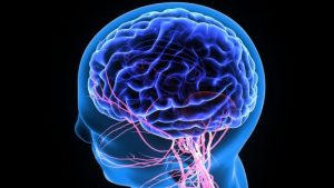 Apa Itu Gangguan Otak Dan Sistem Saraf?