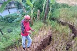 Bencana Alam Pergerakan Tanah Di Sukabumi