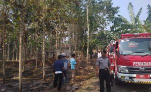Kapolsek Warungkiara Polres Sukabumi Polda Jabar, Padamkan Kebakaran Kebun Jati Dan Karet