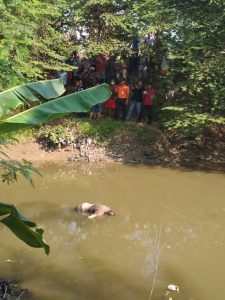 Cirebon Digegerkan Adanya Penemuan Sesosok Mayat Laki – Laki Yang Mengapung Di Sungai