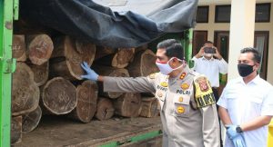 Sat. Reskrim Polres Majalengka Berhasil Amankan Delapan Pelaku llegal Logging