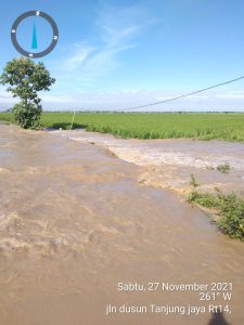 Tanggul Kali Bawah Jebol, Akibatkan Ratusan Hektar Sawah Gagal Panen di Desa Muara Cilamaya Wetan Karawang