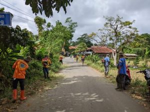 Dinas PU Kab. Sukabumi Melalui UPTD PU Jampang Kulon Laksanakan Pemeliharaan Bahu Jalan