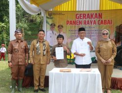 Kadistan Dampingi Wabup Sukabumi Dalam Gerakan Panen Raya Cabai